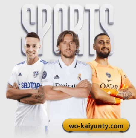 我们在做什么 | kaiyun.com